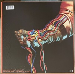OH SEES Intercepted Message LP RED/BLUE osees coachwhips pink brown damaged bug