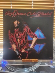 Rick James, Cold Blooded, 1983 1st Gordy Stereo, 6043GL, VG+/VG+
