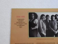 The Turtles “Shell Shock” Pristine NEVER PLAYED 1987 RHINO LP! ONLY COPY eBay!