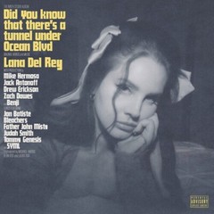 Lana Del Rey – Did You Know That There’s A Tunnel Under Ocean Blvd – Black Vinyl