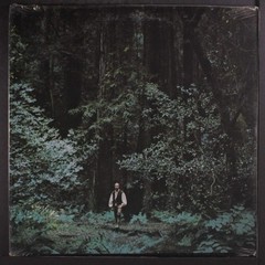 PAUL WINTER & THE WINTER CONSORT, something in the wind LP, Vinyl