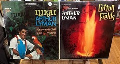 Arthur Lyman LP 12 Vinyl Record Hawaiian Jazz Marimba Vibraphone Exotica RARE