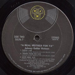 Johnny Guitar Watson – A Real Mother For Ya (LP) (Very Good (VG)) – 3178444385