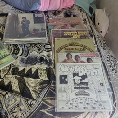 Lot Vinyl Records x55