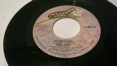 LOT OF 10 1970s 45 RPM EASY LISTENING H. REDDY, A. MURRAY, W. NEWTON, OCEAN