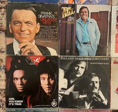 Vintage Vinyl Record Lot of 17 LPs – 70s 80s Rock Pop Soul Country Doors Summer
