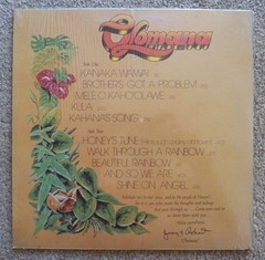 Peter Moon & Hawaiian Slack Key Guitar Assorted 9-LP Record Collection