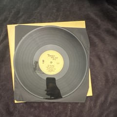 The Beatles This Old Dog 12″ Black Vinyl LP Record in Paper Sleeve