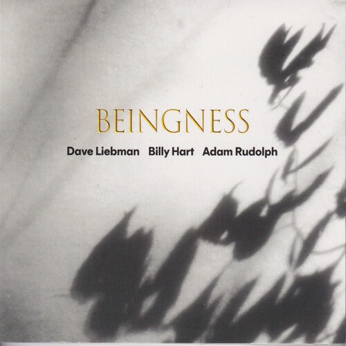 Dave Leibman – Beingness (WHITE VINYL) – JAZZ *NEW/COLOR*