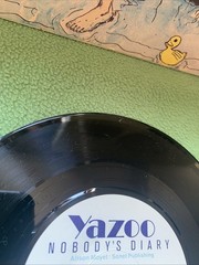 YAZOO NOBODY’S DIARY 2 Track 7″ Single including Picture Sleeve MUTE YAZ 003 Ex