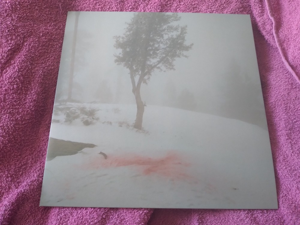 RARE Wisp Pandora White And Red Vinyl + Signed Art Card Blood Records 75.00