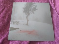 RARE Wisp Pandora White And Red Vinyl + Signed Art Card Blood Records 75.00