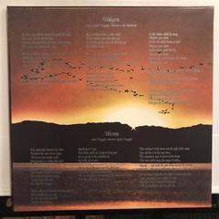 Nokturnal Mortum – The Voice Of Steel LP 2025 Osmose OPLP380 [SPLATTER] NEW *FR