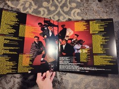 The Mighty Mighty Bosstones – More Noise and Other Disturbances Vinyl Record
