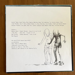 Suturee ‎– Skim The Surface Vinyl LP – Post-Punk / Experimental Band