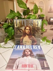 SALE!* LANA DEL REY Born to Die Paradise Ed + 3 Bonus Songs LP LOT EU 2012 MINT!