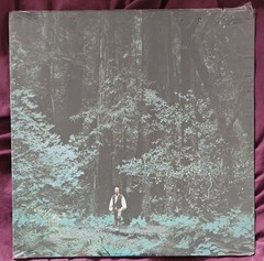The Winter Consort – Something In The Wind – LP – 1972 – SP4207 – Cut-Out-Sealed