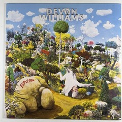 Devon Williams “Euphoria” LP/Slumberland (NM) 2011