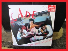 MC A.D.E. How Much Can You Take 12” Vinyl Record Old School Bass Speaker Music