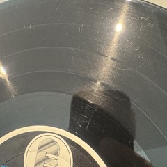 Bad Religion Into The Unknown Vinyl Record