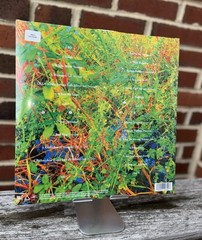 🌀Jhene Aiko Picture Disc – Trip 2LP Limited /2000 Record Store Day RSD – RARE🌀