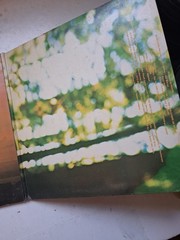 Vinyl Record LP America Homecoming VG