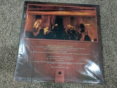 Demilich Nespithe (Vinyl) 12 Album