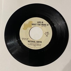 DAY TO REMEMBER/LIFE IS WHAT YOU MAKE IT-NATURAL BIRTH ’69 PROMO VINYL REC VG+