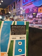 Teenage Fanclub/Jad Fair WORDS OF WISDOM 2026 Record Store Day LP+7″