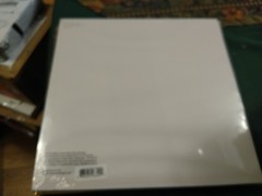 Sylvan Esso – “No Rules Sandy” (Vinyl Record LP) *TIGER’S EYE VINYL*