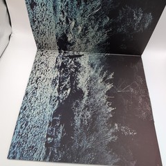 FOALS-WHAT WENT DOWN – VINILO VINYL