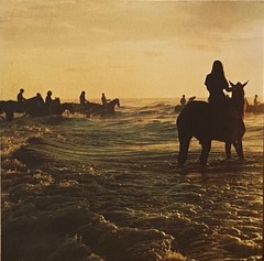 FOALS HOLY FIRE LP UK ORIGINAL 1ST PRESS