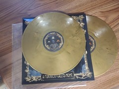 A Fortress Called Home by Seven Spires (Record, 2024) Vinyl LP