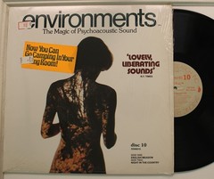N/A Lp Environments Disc 10 On Syntonic Research Inc. – Vg++ To Nm (In shrink!)