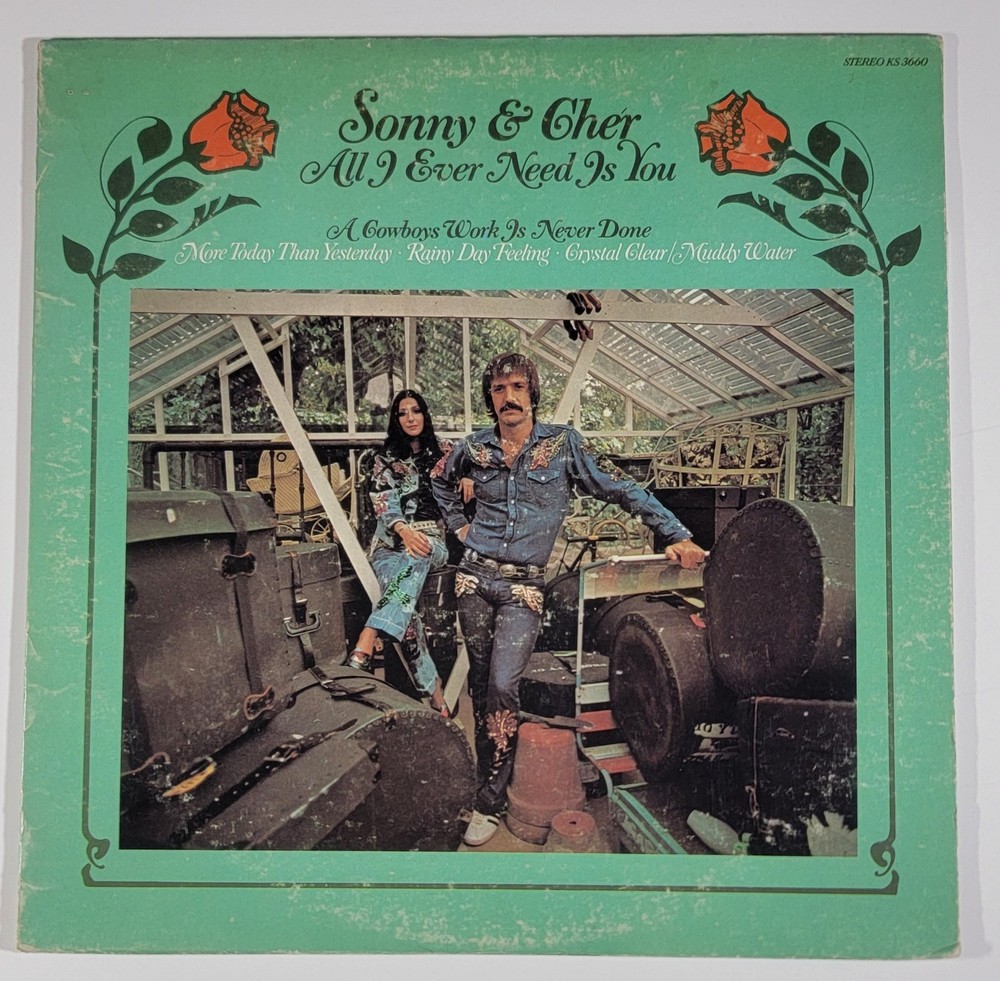 ROCK, POP, R&B Vinyl LPs! YOU PICK. $6.99 and UNDER! $5 Flat Shipping!