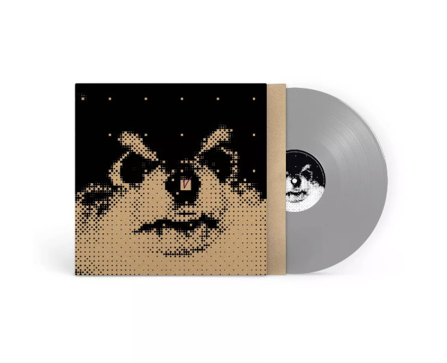 V (BTS) – Layover (Limited Edition, Gray Vinyl LP + Poster + Photocard) – USED !