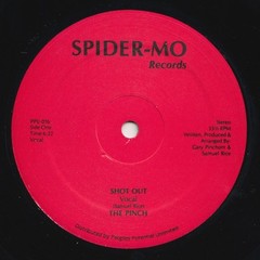 The Pinch “Shot Out” PRIVATE PRESS VOCODER BOOGIE FUNK 12″