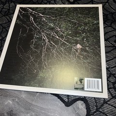 Foxing Dealer Vinyl Record 12” Album Purple Marble Color Vinyl LP