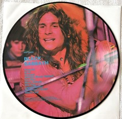 Black Sabbath Greatest Hits, Vinyl Picture Disk, NEP 6009 Import EXC