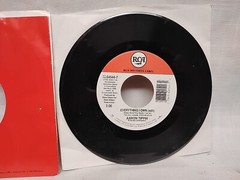 Aaron Tippin Everything I Own 45 RPM RCA Records Label 64544-7 1996