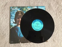 1965 Skeeter Davis BLUEBERRY HILL AND OTHER FAVORITES Vinyl Record CAL-899 MONO
