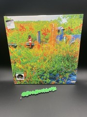 Jhene Aiko Trip Picture Disc Vinyl LP Limited Edition RSD 2026 Record Store Day