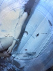 Charlie XCX – PARTY 4 U – 7” Vinyl Record Store Day RSD 2026 Clear Picture Disc