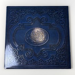 Cold Roses by Ryan Adams & Cardinals Vinyl Record 2 LP