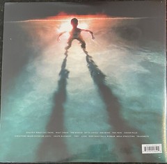 DAMAGED BUG ‘Cold Hot Plumbs LP NEW Oh sees coachwhips pink brown Hospitals PUNK