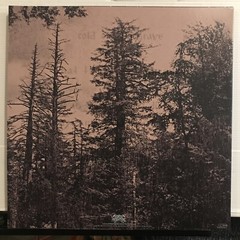 Hate Forest – Sorrow LP 2023 Osmose Productions – OPLP260 [White Marble] New *FR