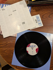 Lana Del Rey – Born To Die – 12″ Vinyl Record Album LP 2012 German Pressing