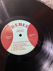 THE GOINS BROTHERS / SELF TITLED REBEL RECORDS VINYL LP 139-40W/ 1975 EX