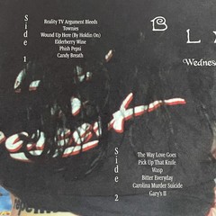 Wednesday Bleeds SIGNED Eco Mix Vinyl LP NEW IN HAND – Opened and Autographed