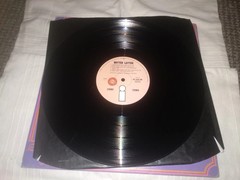 Nick Drake – Bryter Layter Vinyl LP – 1st Pressing (Rare Island Records Promo)